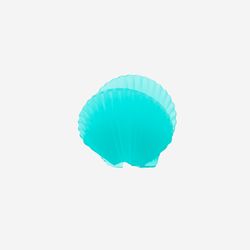 Color – Shell