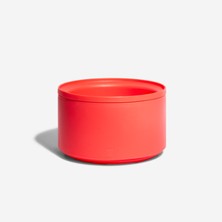 Color – Coral