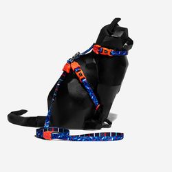 Atlanta | Cat Harness with Leash – Zee.Dog
