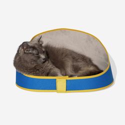 Color – Polo