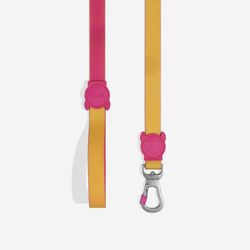 Neopro Lyra