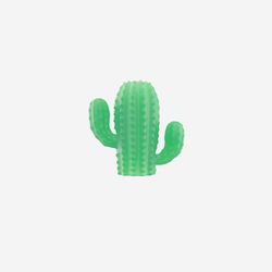 Color – Cactus