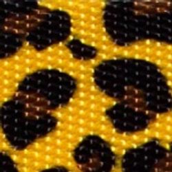 Classics – Honey