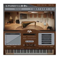Instrument – Xylophone