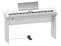 Color – White